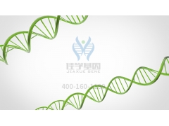 【佳学基因检测】最新研究：每天嚼口香糖能预防老年痴呆！