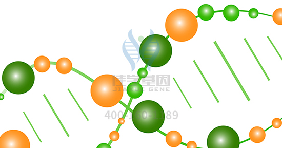 【佳学基因检测