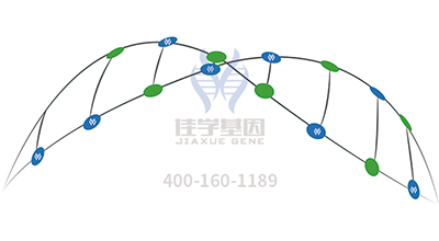 <b>【佳学基因检测】讯飞星火认知大模型中EFNA2突变检测知识信息源分析</b>