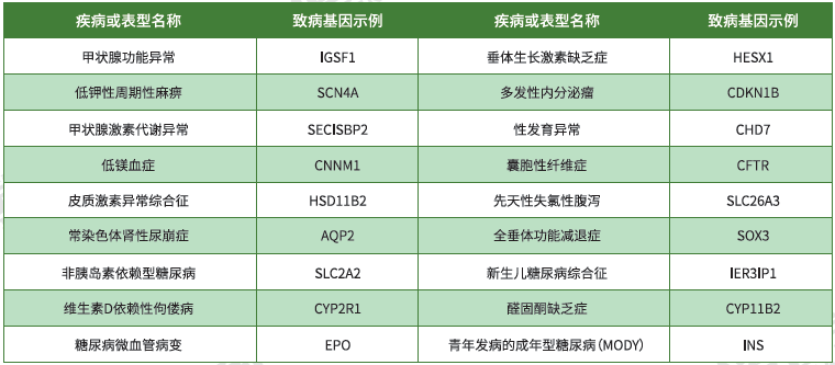 【佳学基因检测