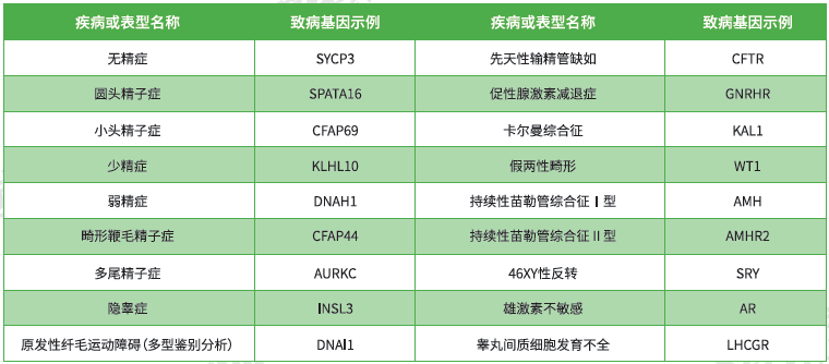 【佳学基因检测