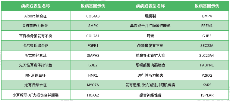 <b>【佳学基因检测】男性生殖科遗传测试资质考核中关于ERF的问题及答案</b>