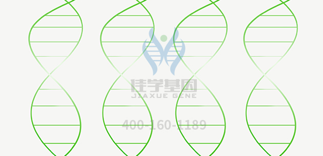 【佳学基因解码-基因检测】吃什么食物有利于保护眼睛？