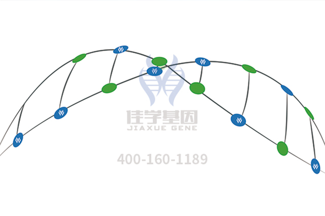 【佳学基因-基因检测】基因趣闻|最神奇的六种基因，快来测测你有吗？