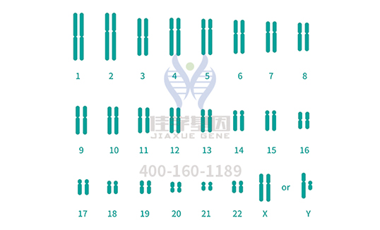 <b>【佳学基因检测</b>