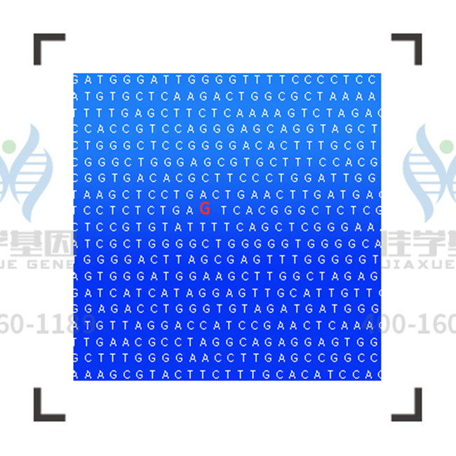 【佳学基因检测